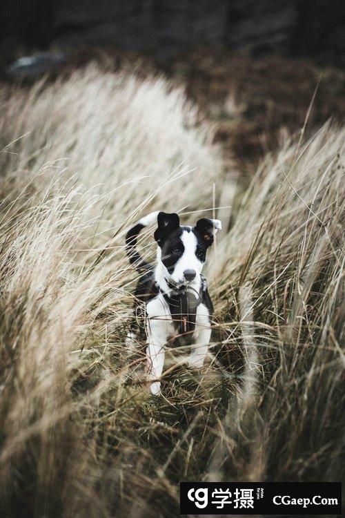 Tom Kahler K3 LR 预设