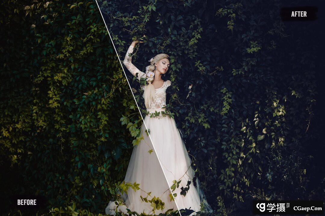 d4bbda2a9a5a40133cfaf39feb5cd0ce