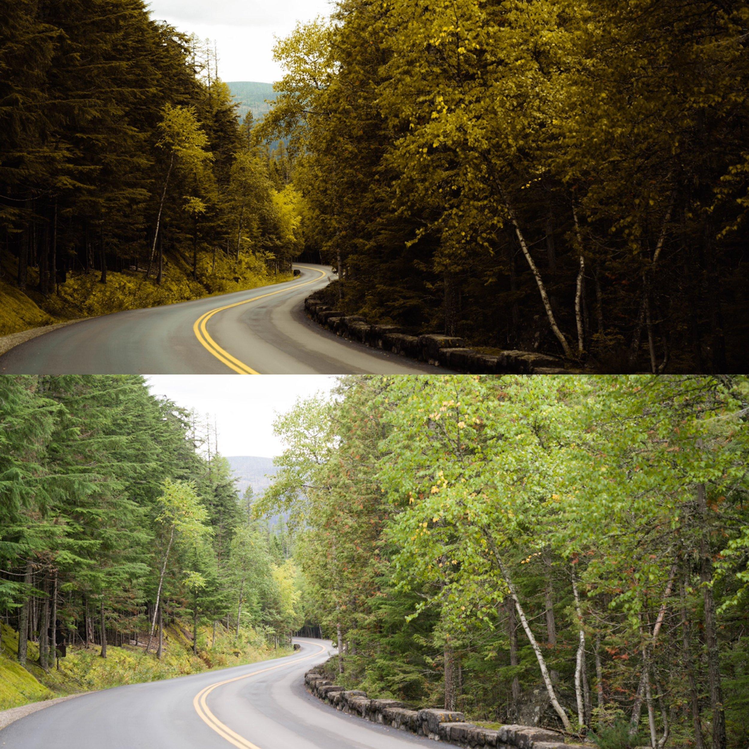 d7d298f85a10de6a1734f44d9c6de074