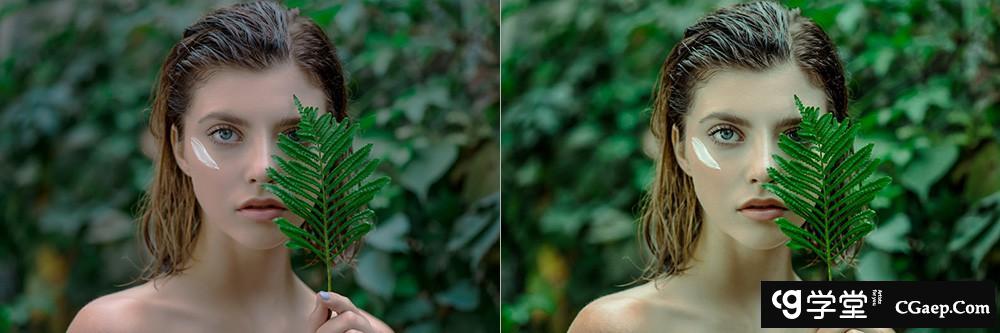 INS风格人像清新绿色调Lightroom预设 OnPresets -CACTUS