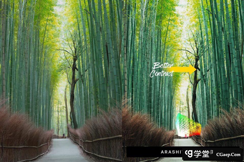 d8e5afc21984ed250a9d93877fc2c94d d8e5afc21984ed250a9d93877fc2c94d