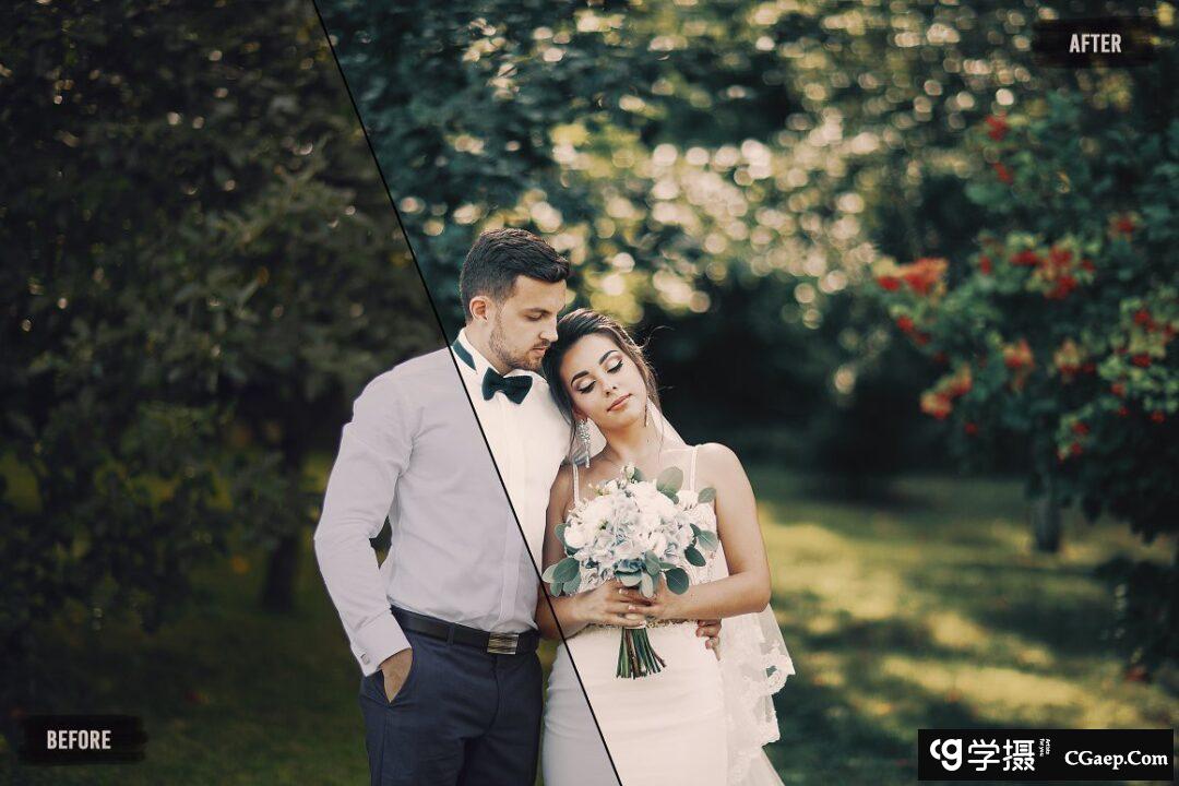 da03e1fd5b25ab7e2c105da0cc5f9619