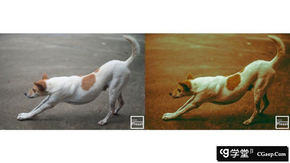 dc97800bd32c6175c50c7949a3167e06