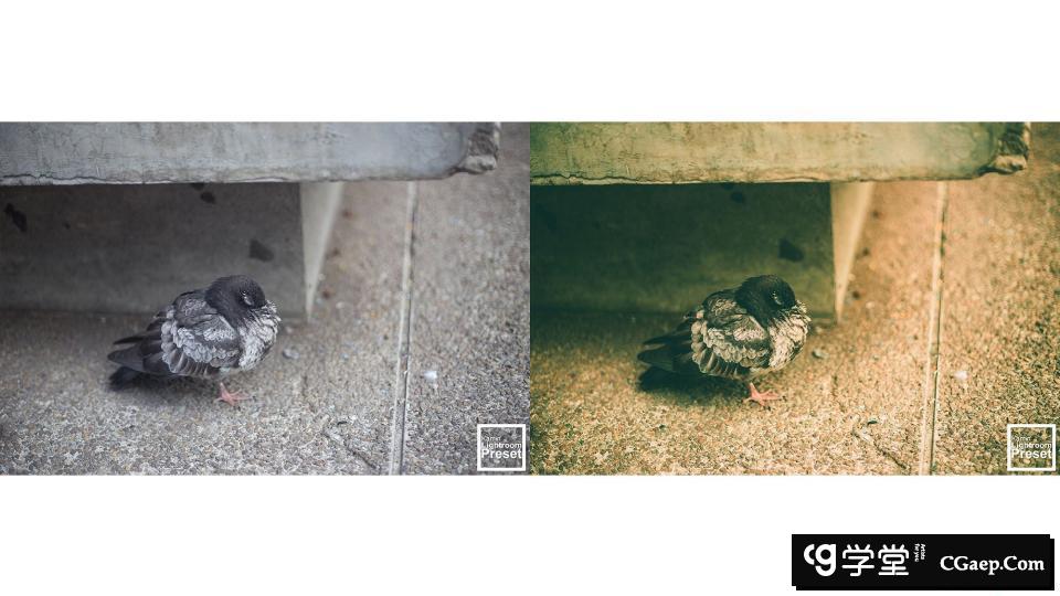 dd59b3fd59651c6144e97278869cdda0