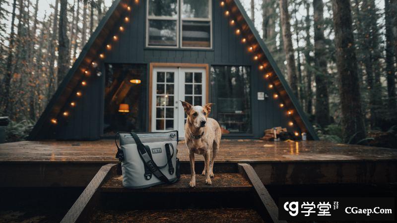 e171b3931b294ed6e56d6458882dbfb8