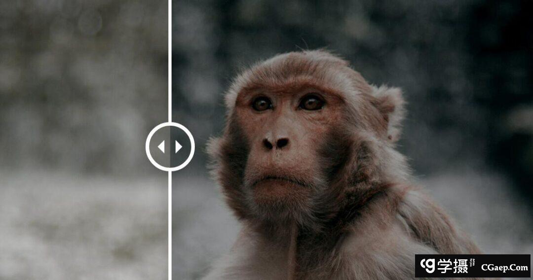 e4eba031d11530df12e991bf2f75cd96