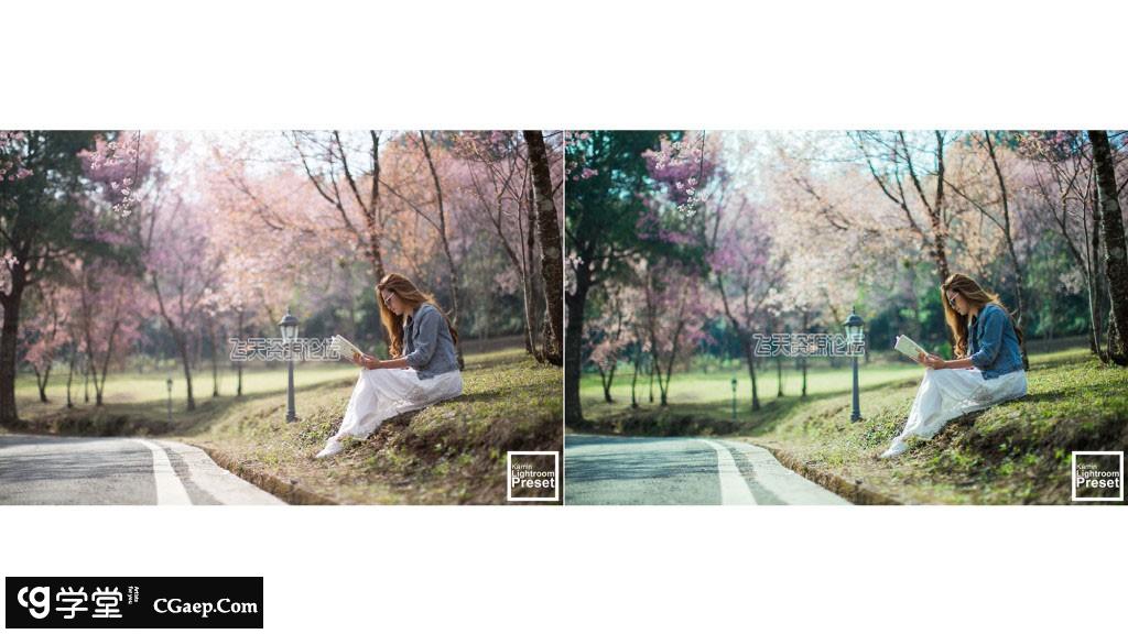 e6a76aed1bffe659c07d24fd8dbc3071