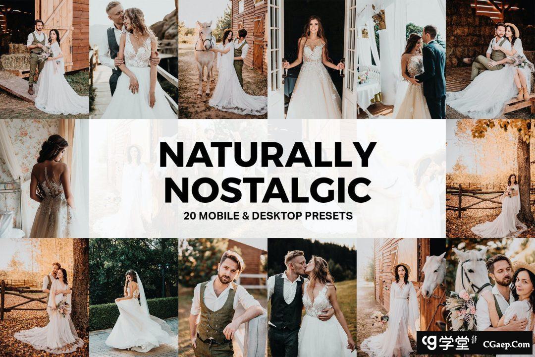 自然怀旧婚礼人像摄影后期调色lr预设及视频电影Vlog后期调色LUT预设