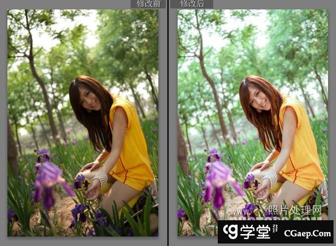 e74ee8c3136d0400c5fe2f2bbb4a4d71