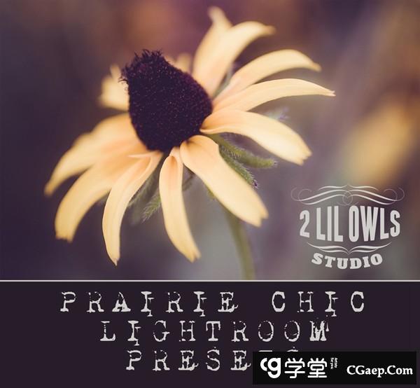 ebc7bbd17405a27d52ecab76859ce364