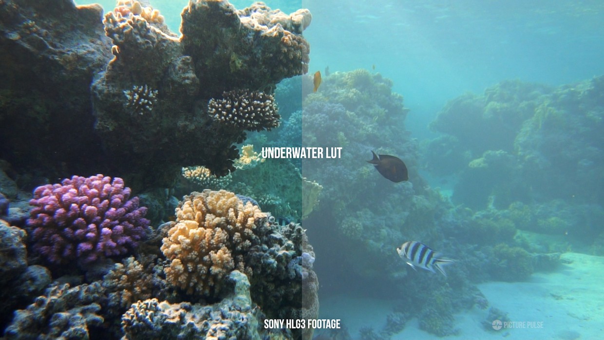 ecd2f966d03ccc9e6ced74b94c9942cb