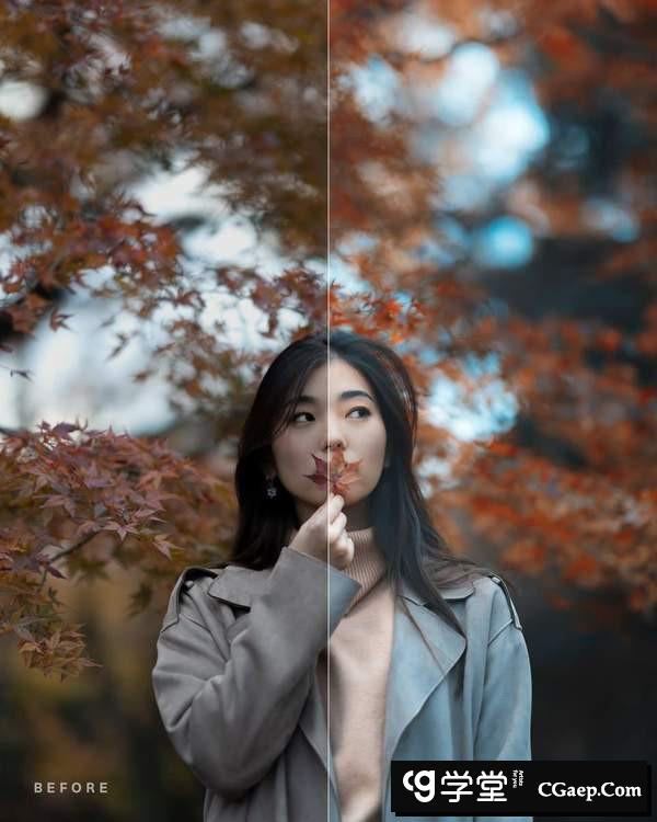 ee234a94184c36428c9f95f69f09205f