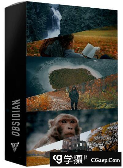 电影工业级别滤镜黑曜石LUT预设-30个专业和电影视频滤镜