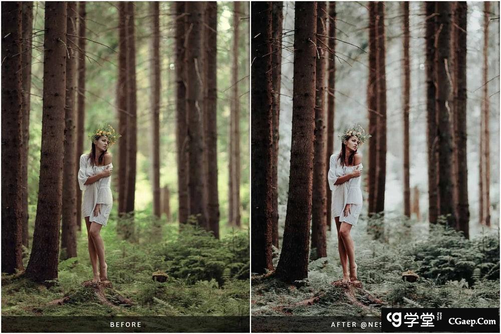 f2547d7df628a33de42bc4afd78a5565