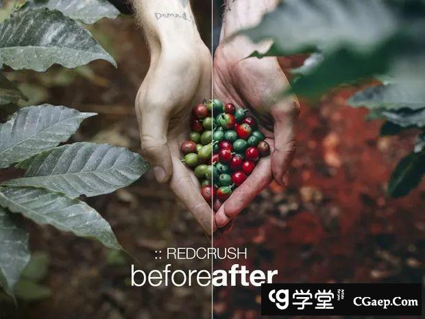 f26c6dbeb6071b6e0c0288bb87cd8212