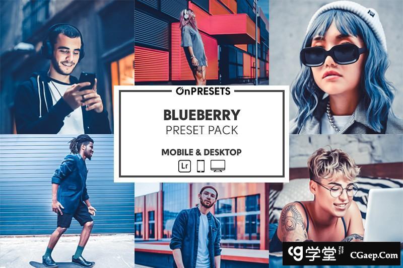 INS风蓝调旅拍人像Lightroom调色预设 OnPresets -BLUEBERRY