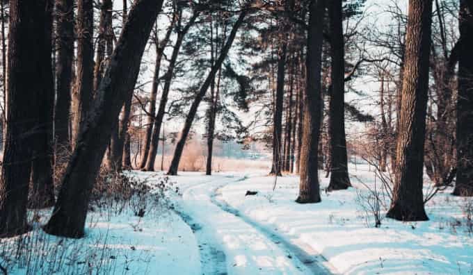 f983c69d5990b95b049d51fa19903fbe-1