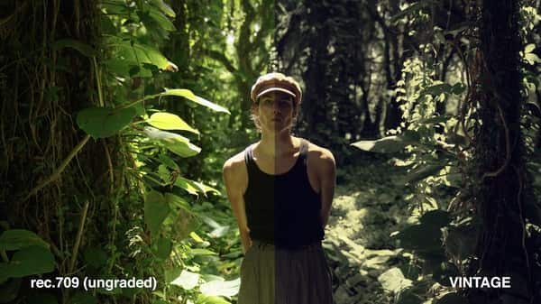 fc7488c351b2e3d1891d25c3f5ecc9ba-1