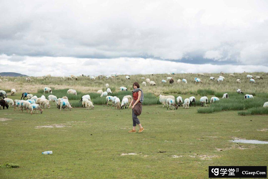 fca0bc48d06024956c364653c20253a5