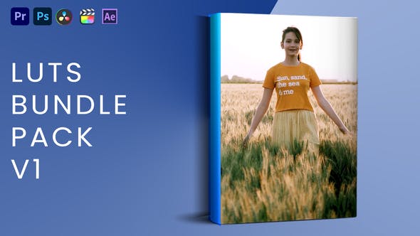 Videohive 40436360 LUTs Bundle Pack V1