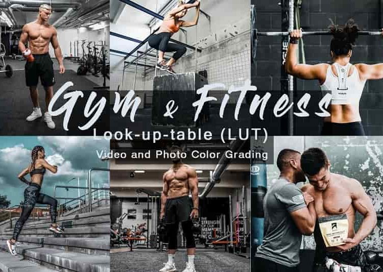 0202238a97f25dc73f875ef59725bc