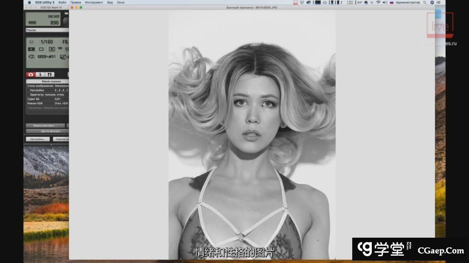 03bfd99779b0551f04169fc696e03a1e