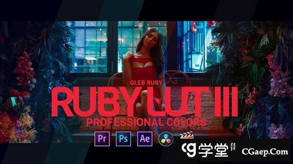 06d87d15987048988a8159ca262908d9-1