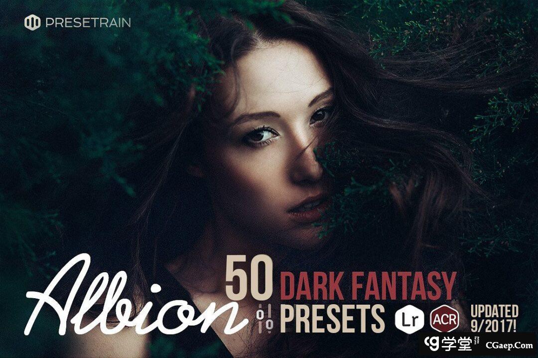 自然光线时尚肖像风景黑暗色调Lightroom预设