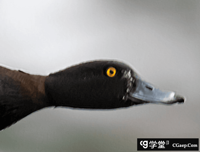 0f9baffc5ae655a002fdb5fbe7f1edcd