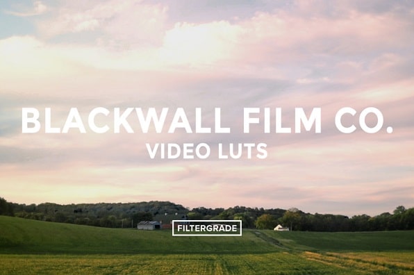 Blackwall Film Co. Video LUTs Filtergrade