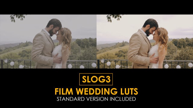 Slog3 Film Wedding And Standard Luts