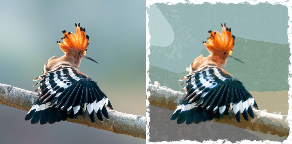 1594c43bd9642bbe42fcb573422d2fce 1594c43bd9642bbe42fcb573422d2fce