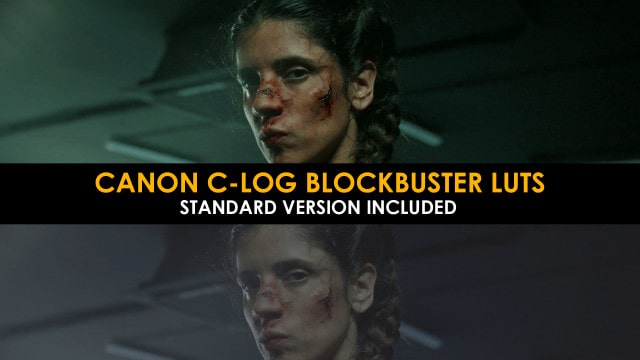 Canon C-Log Blockbuster And Standard Lut