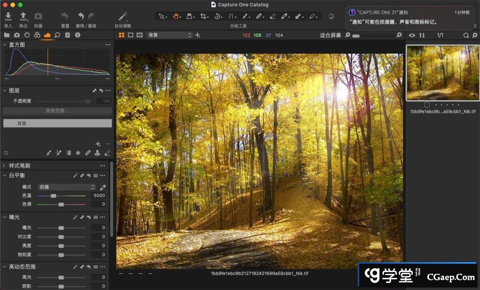 1854e1552d297201ff088f3078824f62