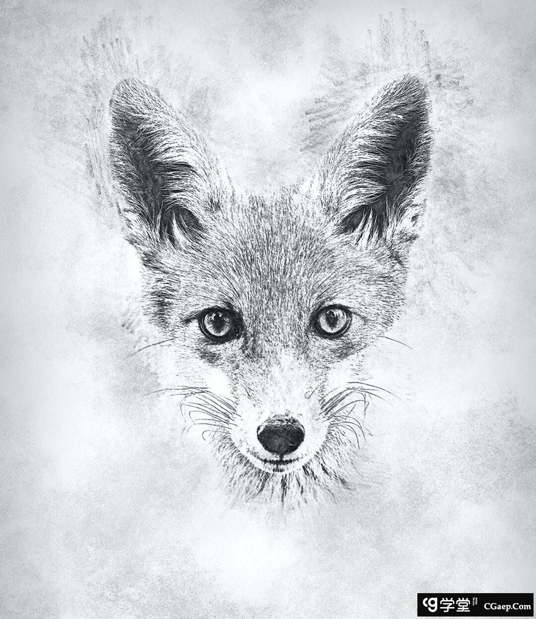 1959020e8786e41c593becd3abeff3fe