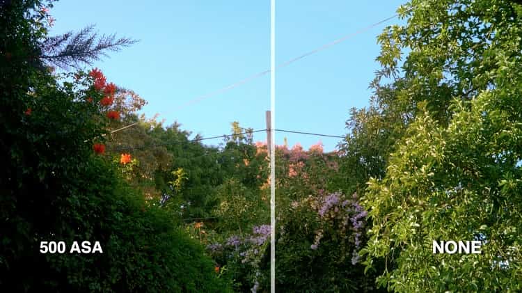 27710120c7f7081932d6ad90781f12a5-1