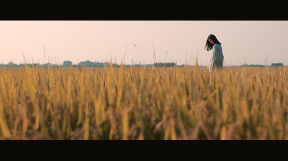 2905307fb67d00cd13ed5a22f272c4e7