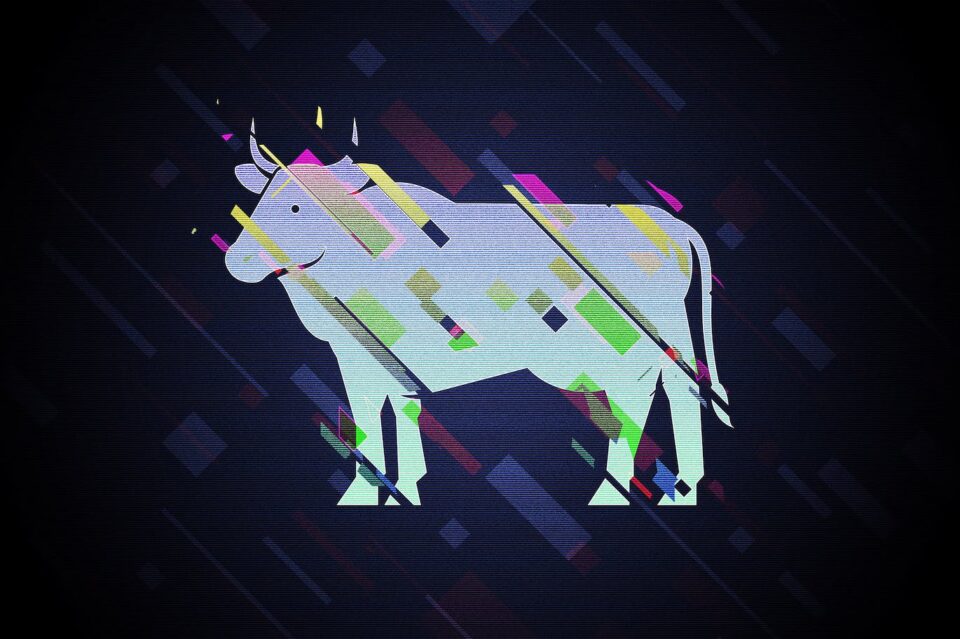 2a15631cdab5483f0a18b81ba4c1d2b3