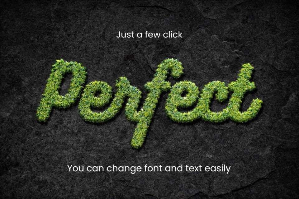 2ada3faec5a6f4476d82cf575af55a5d