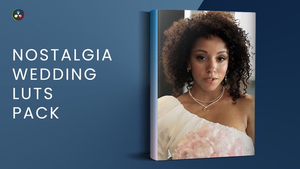 Videohive 47414248 Nostalgia Wedding LUTs Pack