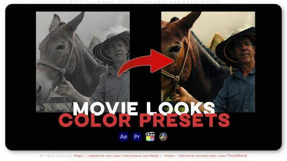 Movie Looks LUTs 影片外观LUT颜色预设包 Color Presets Pack