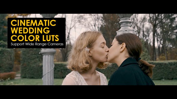 电影婚礼彩色 LUT 42 个 LOG-REC 709 转换 LUTs Cinematic Wedding Color LUTs