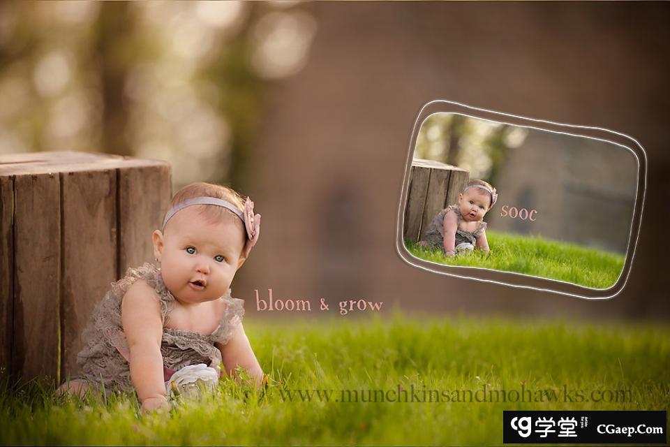 480d00589d78228461613f631376e522