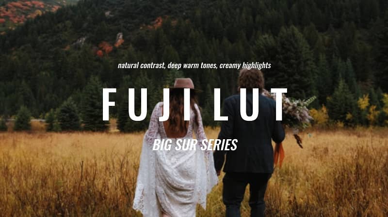 John Stambaugh FUJIFILM LUT F-log