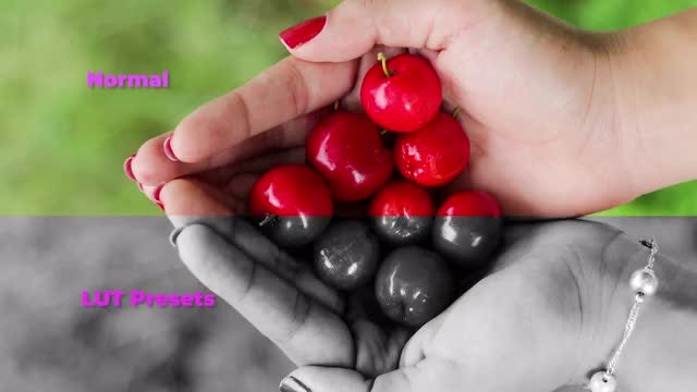 566ca7570aec255e8e71105d7227ebb1-1