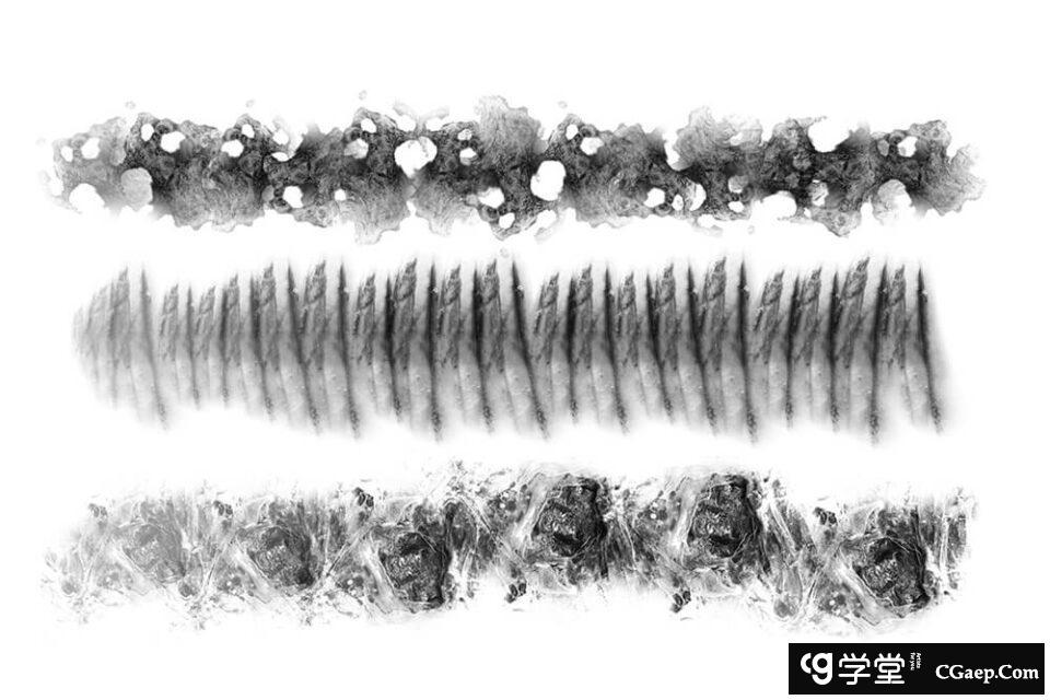 57237669b9c3208ed2b5d52ec7cd7443