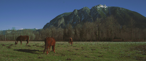 602e8f042f463dc47ebfdf6a94ed5a6d-3