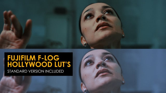 Hollywood Fujifilm F-Log & Standard Luts