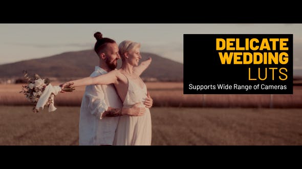 Videohive 48504904 Delicate Wedding Color LUTs