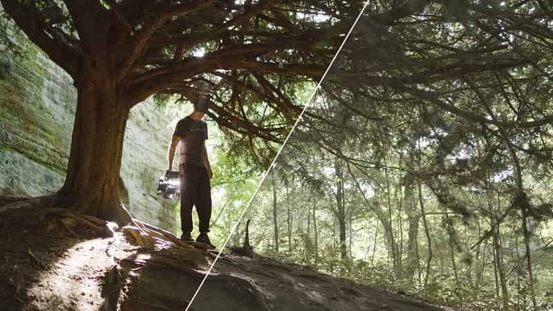 Bounce Color True Basic Log Conversion LUTs